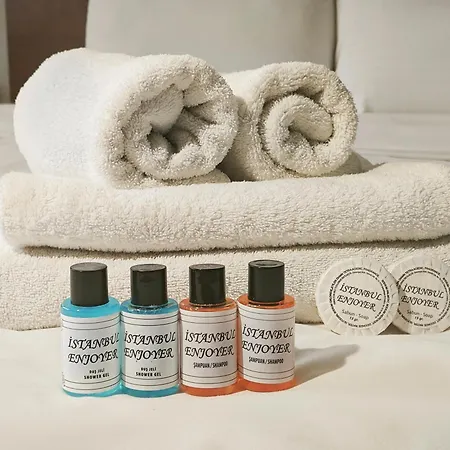 Apart Otel Sultanahmet Enjoyer 4*